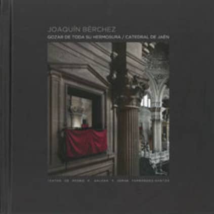 Gozar de toda su hermosura. Catedral de Jaén