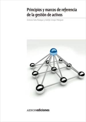 Principios y marcos de referencia de la gestión de activos