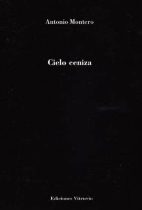 Cielo ceniza