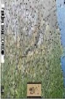 Pirineo Catalán (tubo)