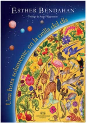 UNA HORA SOLAMENTE, DE LA ORILLA DEL DÍA