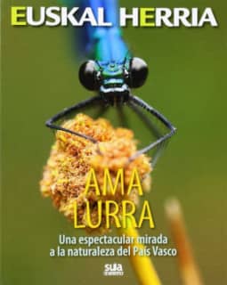 Ama lurra