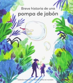 Breve historia de una pompa de jabon