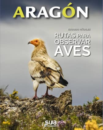 Rutas para observar Aves