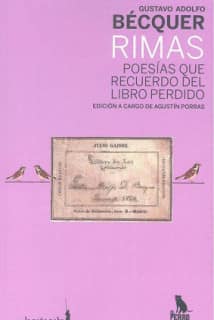 Poesías que recuerdo del libro perdido (Rimas)