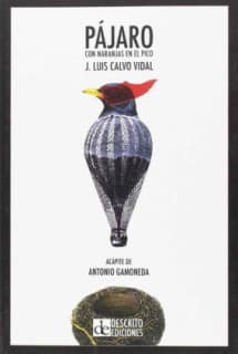 Pájaro con naranjas en el pico