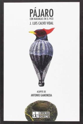 Pájaro con naranjas en el pico