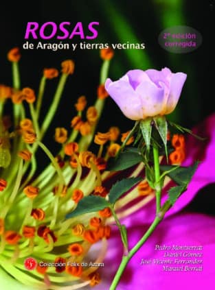 Rosas de Aragón y tierras vecinas