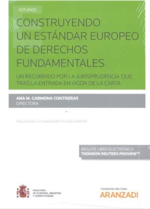 Construyendo un estándar europeo de derechos fundamentales (Papel + e-book)