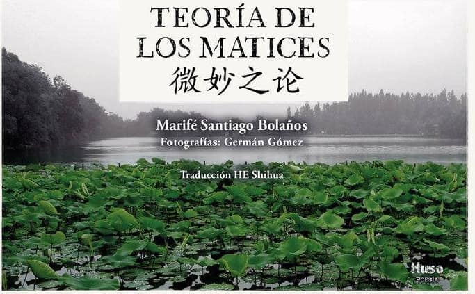 Teoría de los matices