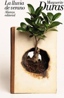 La lluvia de verano