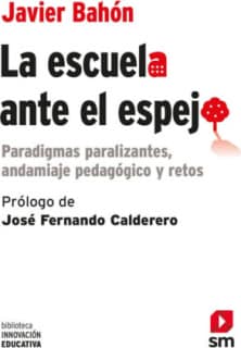 La escuela ante el espejo