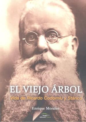 El viejo árbol