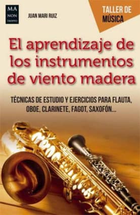 APRENDIZAJE INSTRUMENTOS VIENTO MADERA