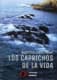 LOS CAPRICHOS DE LA VIDA