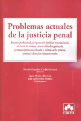 PROBLEMAS ACTUALES DE LA JUSTICIA PENAL