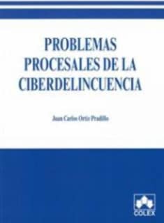 Problemas procesales de la ciberdelincuencia