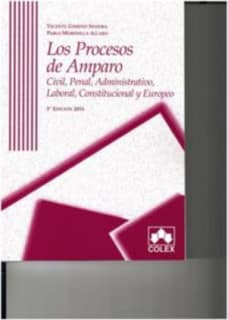 Procesos de amparo 3ª ed