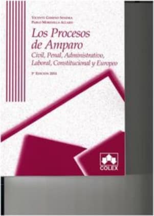 Procesos de amparo 3ª ed
