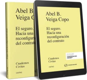 El seguro. Hacia una reconfiguración del contrato (Papel + e-book)