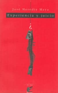 Experiencia y juicio