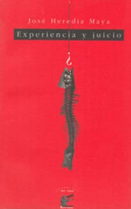 Experiencia y juicio
