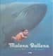 MALENA BALLENA    *PREMIO CLUB KIRICO*