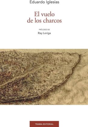 El vuelo de los charcos