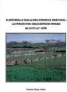 El desarrollo rural como estrategia territorial: las perspectivas de los espacios rurales en Castilla y León
