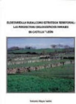 El desarrollo rural como estrategia territorial: las perspectivas de los espacios rurales en Castilla y León