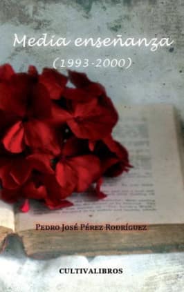 MEDIA ENSEÑANZA