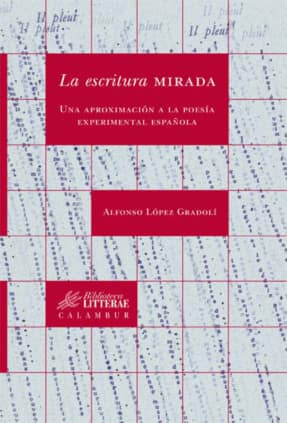 La escritura mirada