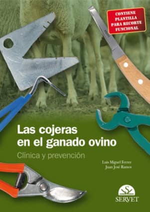 Las cojeras en el ganado ovino. Clínica y prevención