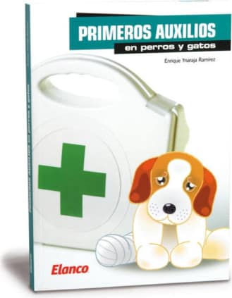 Primeros auxilios en perros y gatos