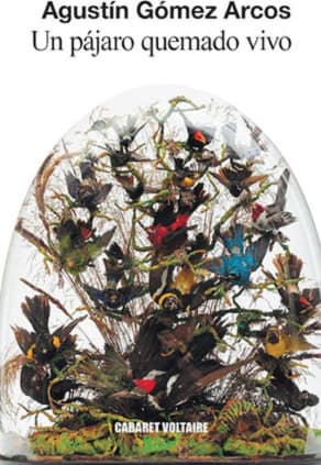 Un pájaro quemado vivo