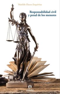 Responsabilidad civil y penal de los menores