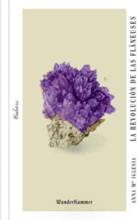 La revolución de las flâneuses