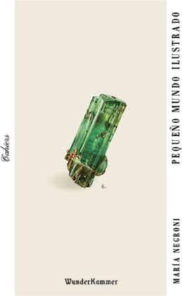 Pequeño mundo ilustrado