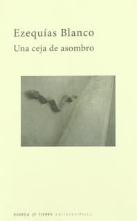 Una ceja de asombro