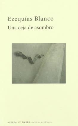 Una ceja de asombro