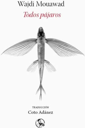 Todos pájaros