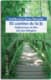 El camino de la fe. Reflexiones al hilo del año litúrgico
