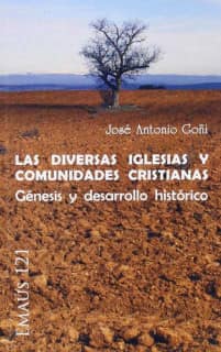 Las diversas Iglesias y comunidades cristianas