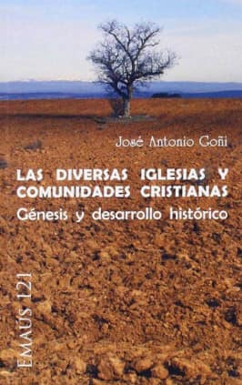 Las diversas Iglesias y comunidades cristianas