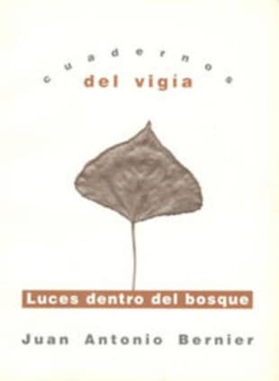 Luces dentro del bosque