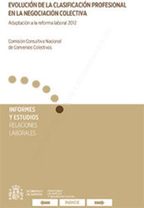 Evolución de la clasificación profesional en la Negociación Colectiva