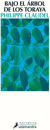 Bajo el árbol de los toraya