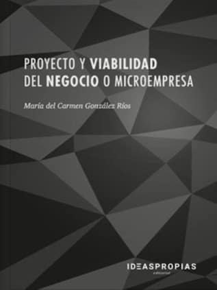 Proyecto y viabilidad del negocio o microempresa