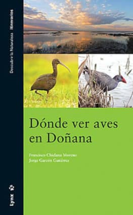 Dónde ver Aves en Doñana