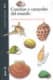 Conchas y Caracolas del Mundo